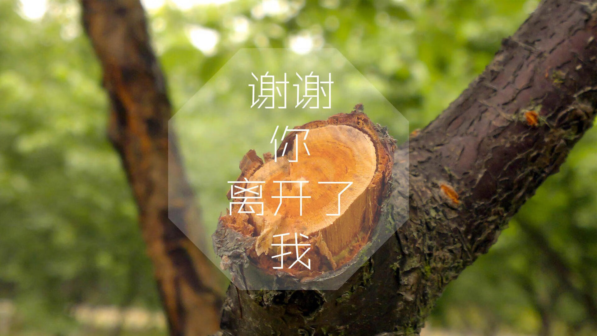法甲球队通过大数据优化边路突破战术，法甲边锋