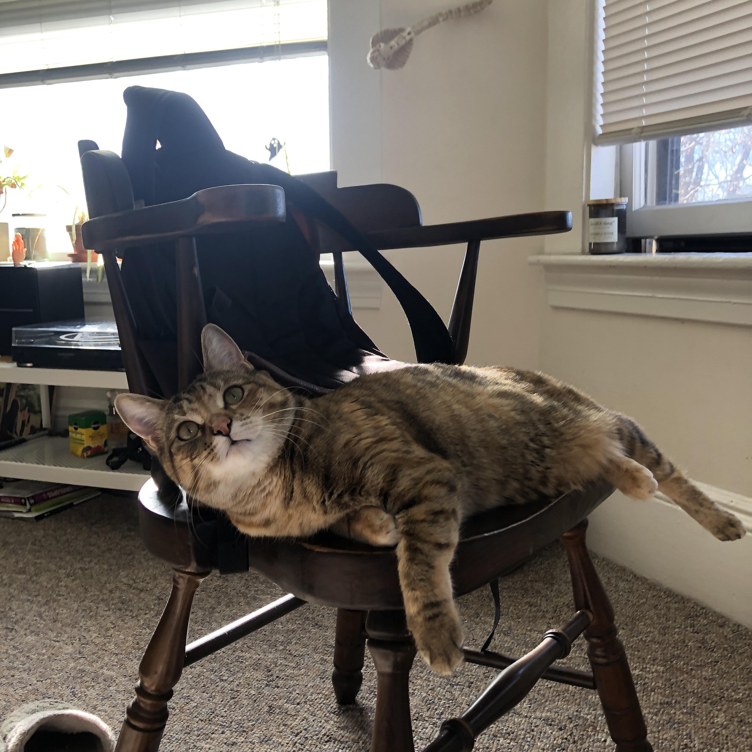 世界杯预选赛中国队平局 战术调整成关键,世界杯预选赛中国队打平