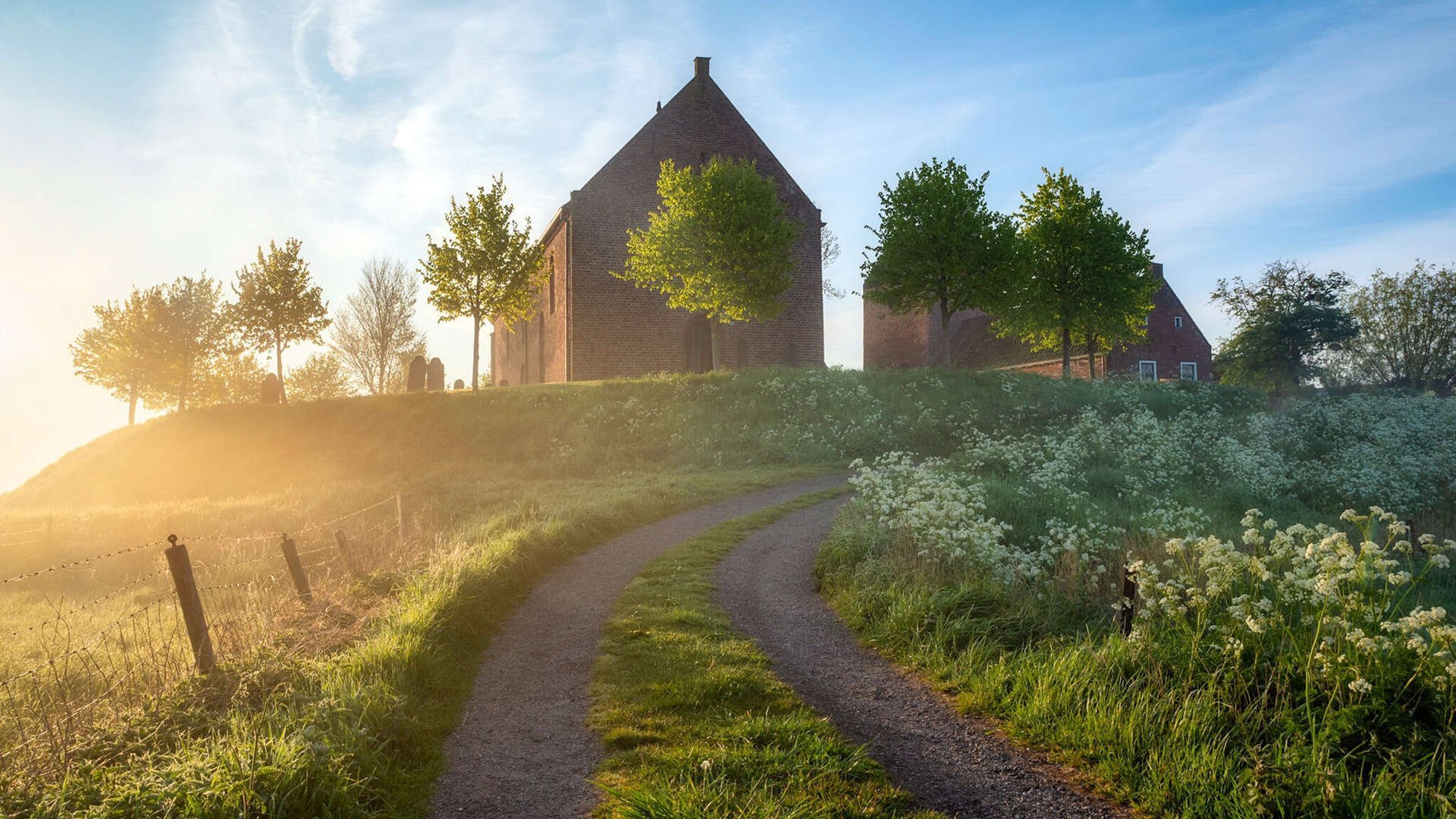 团体赛制下的澳大利亚队:如何通过策略迎接国际挑战,我要看澳大利亚国家队