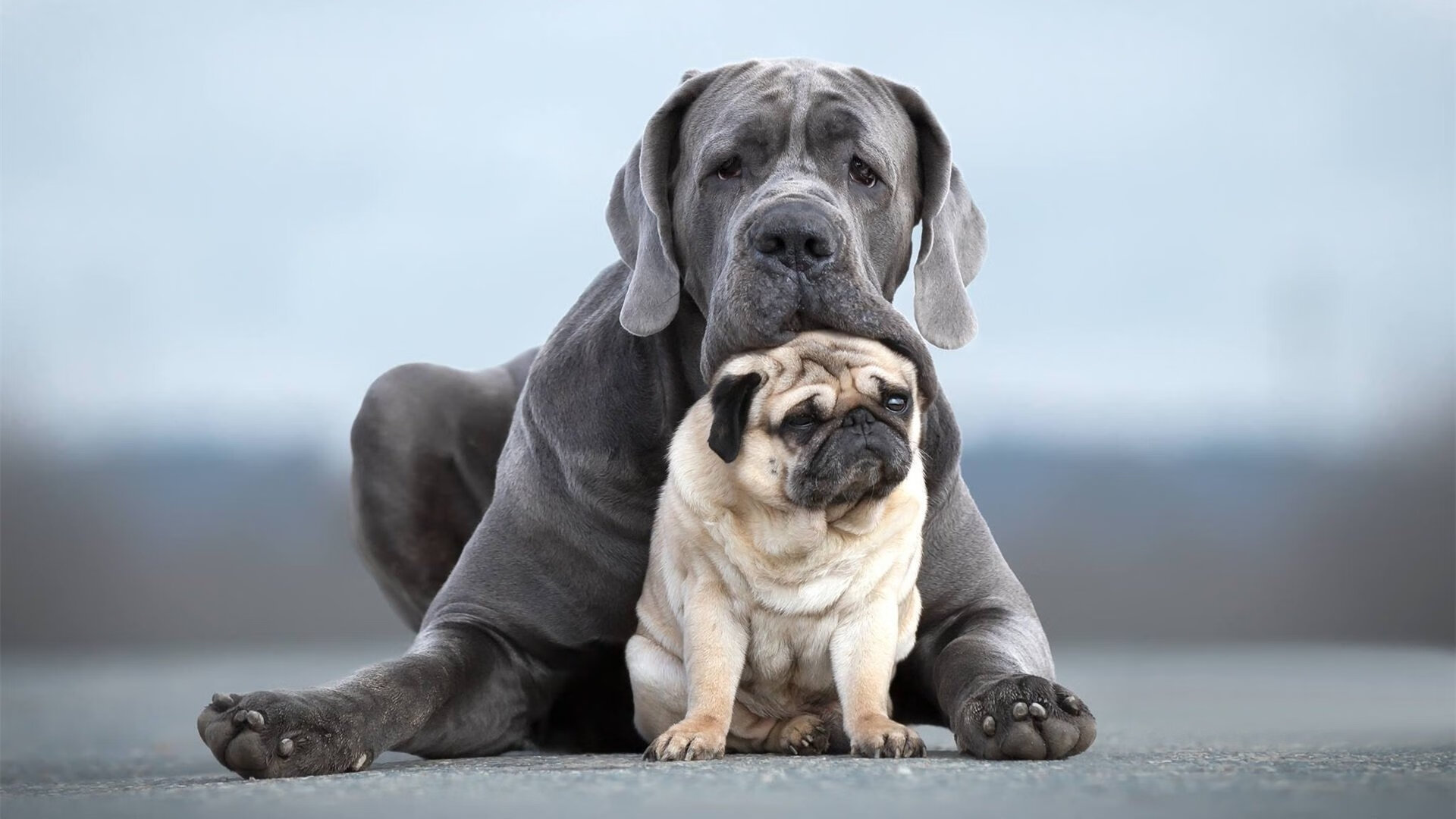 球队控球转化效率是否决定胜负概率变化,球队控制球结束的三种情况