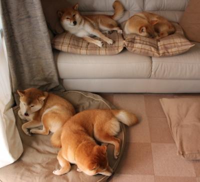 “华金·托比利亚的全能防守与进攻威胁,成就阿根廷美洲狮队的进攻防守平衡”