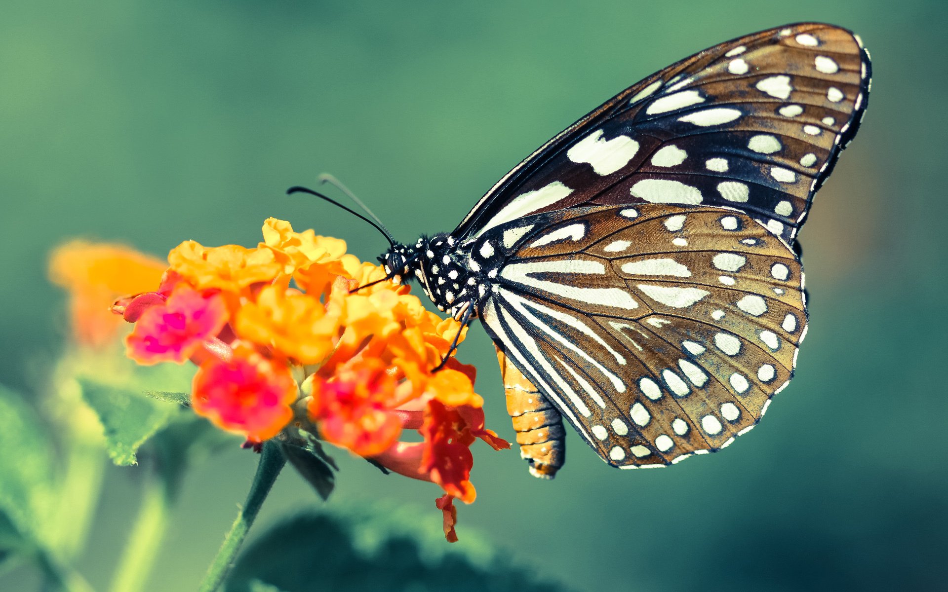 九游娱乐-世界杯激情封神夜：那些让人热泪盈眶的刻骨铭心！，世界杯激情歌曲