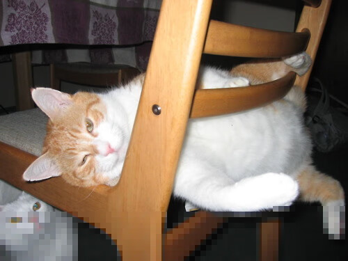 世界杯激情封神夜:那些让人热泪盈眶的刻骨铭心!,世界杯激情歌曲