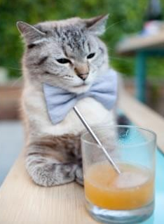 中国女排庆祝新场馆落成拍摄合影,中国女排表演