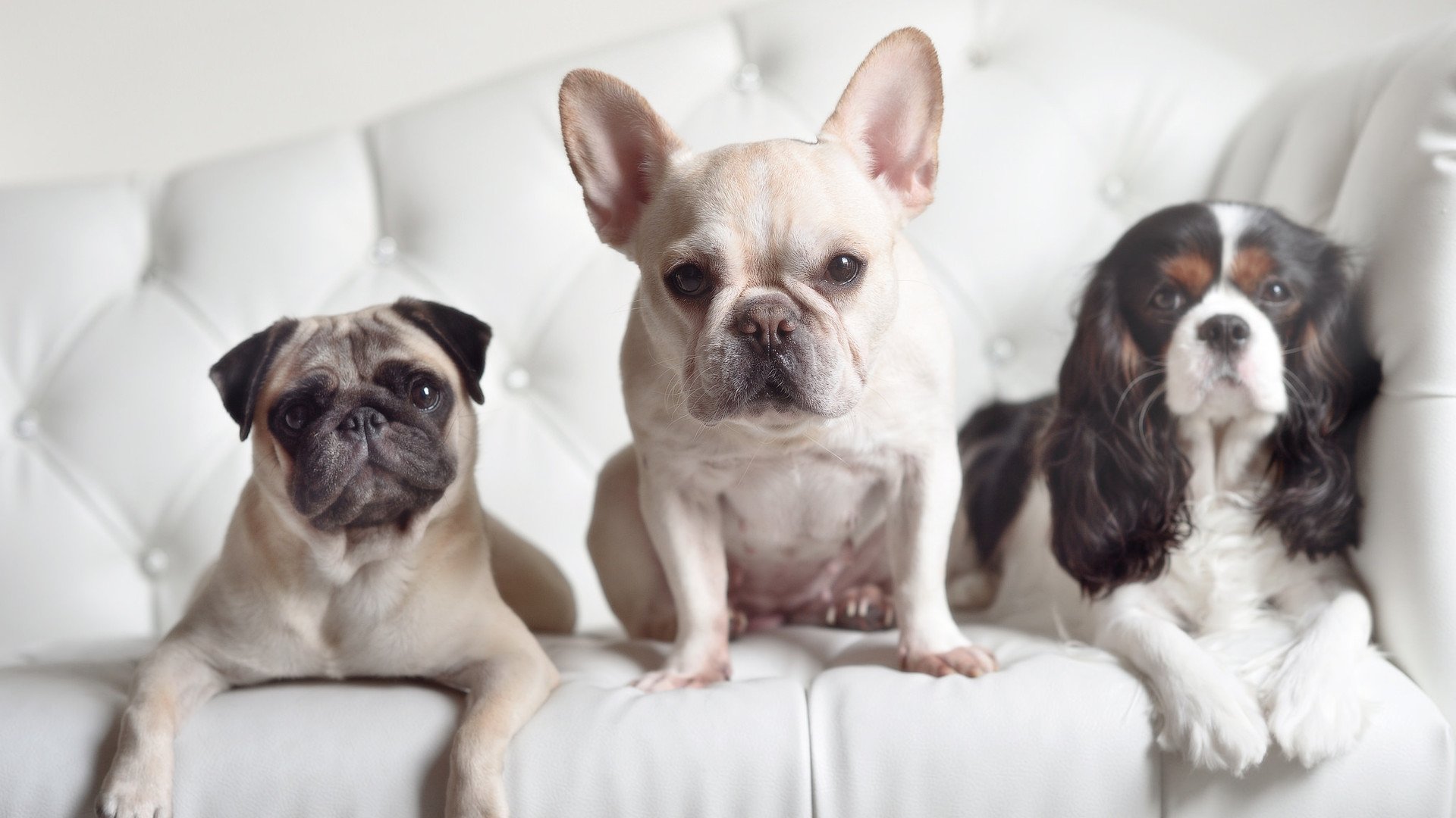 中甲联赛开展绿色出行倡议推动低碳赛事建设，绿色低碳出行标语