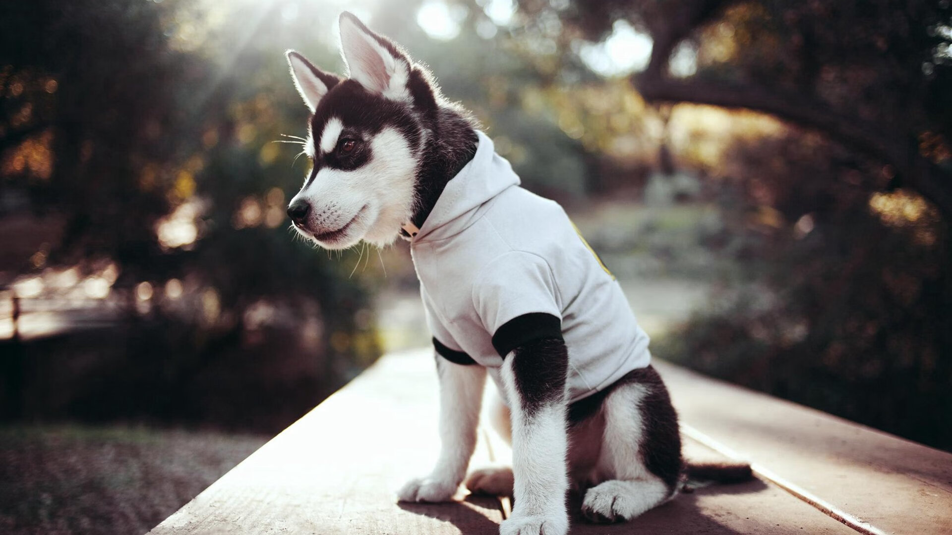 主教练关注比赛细节在暂停时间精准布置完成战术转折,比赛中教练请求暂停的时间为