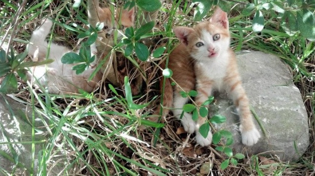 九游官网入口注册-哈斯克稳扎稳打锁定决赛席位，哈斯克孜