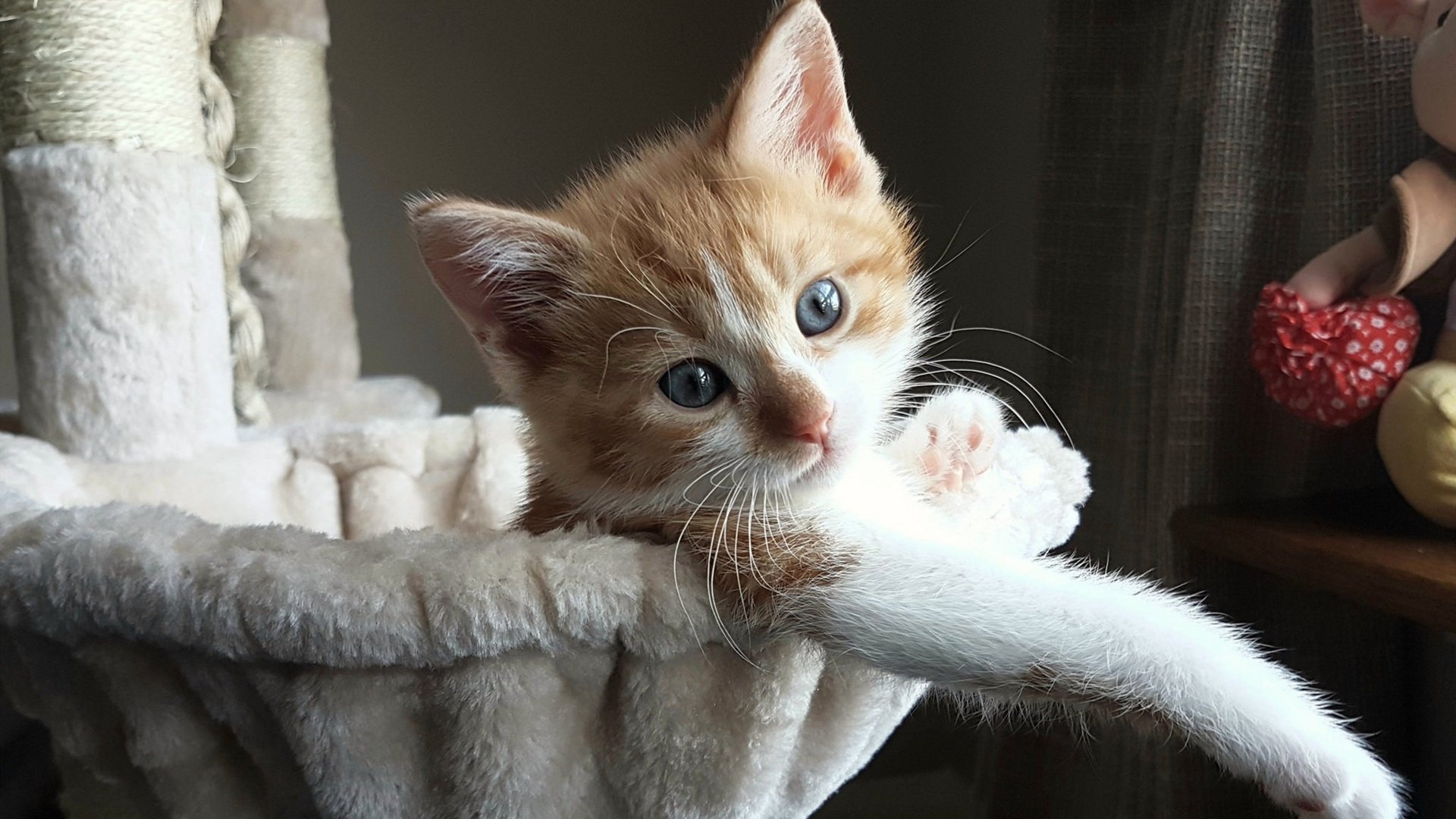 九游娱乐登录-史密斯冲线瞬间引爆现场气氛，史密斯hgn