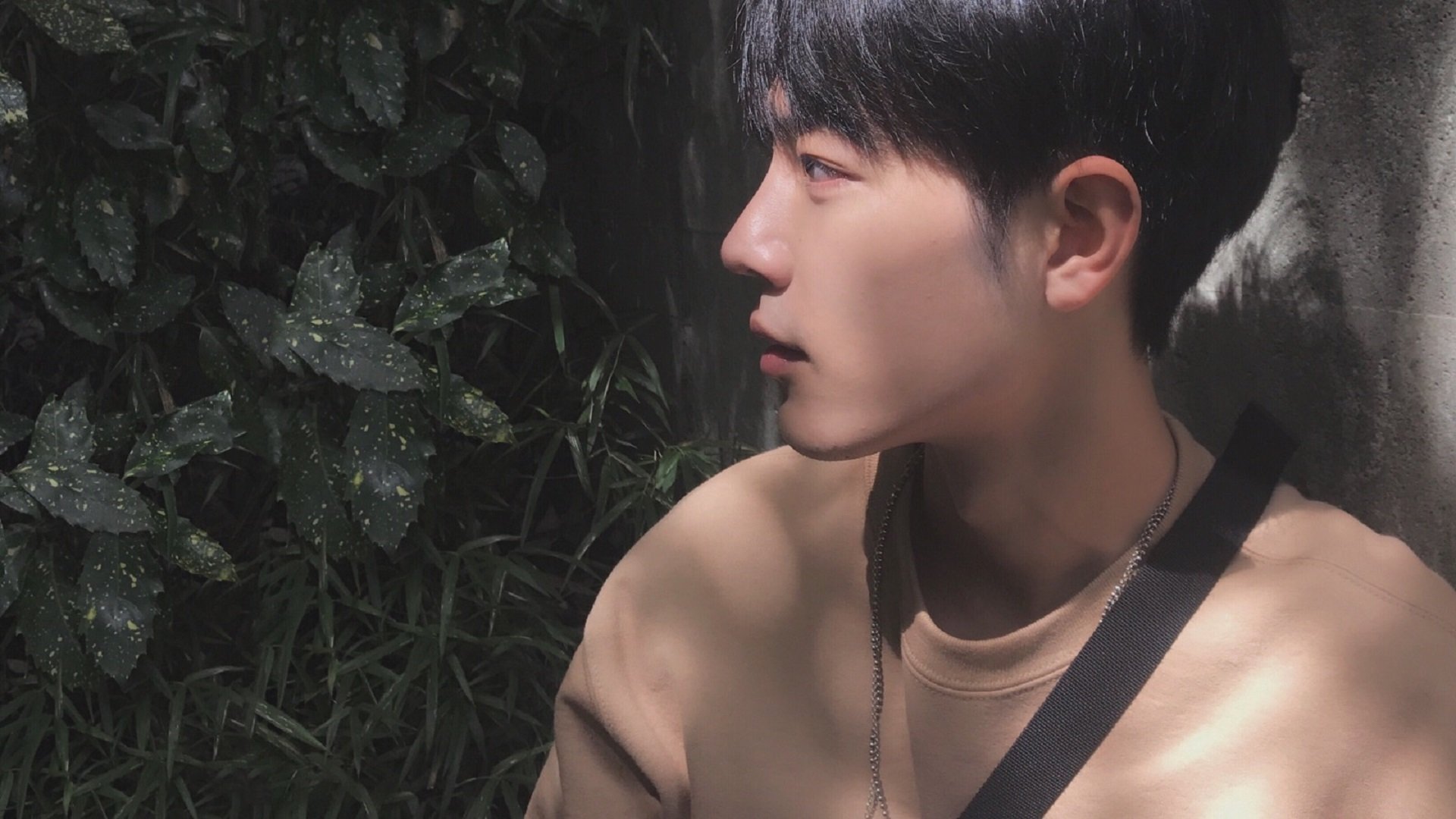 九游官网入口充值-奥康纳与塔特完美配合，袋鼠队进攻如虎添翼，奥康纳生平