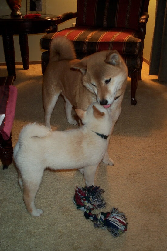 奇才本场比赛快攻得分创赛季新高，奇才比赛全场录像